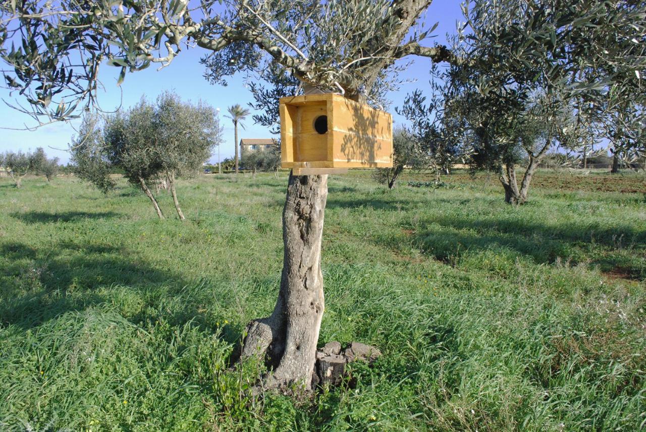 Masseria Galatea Agriturismo Alessano Buitenkant foto