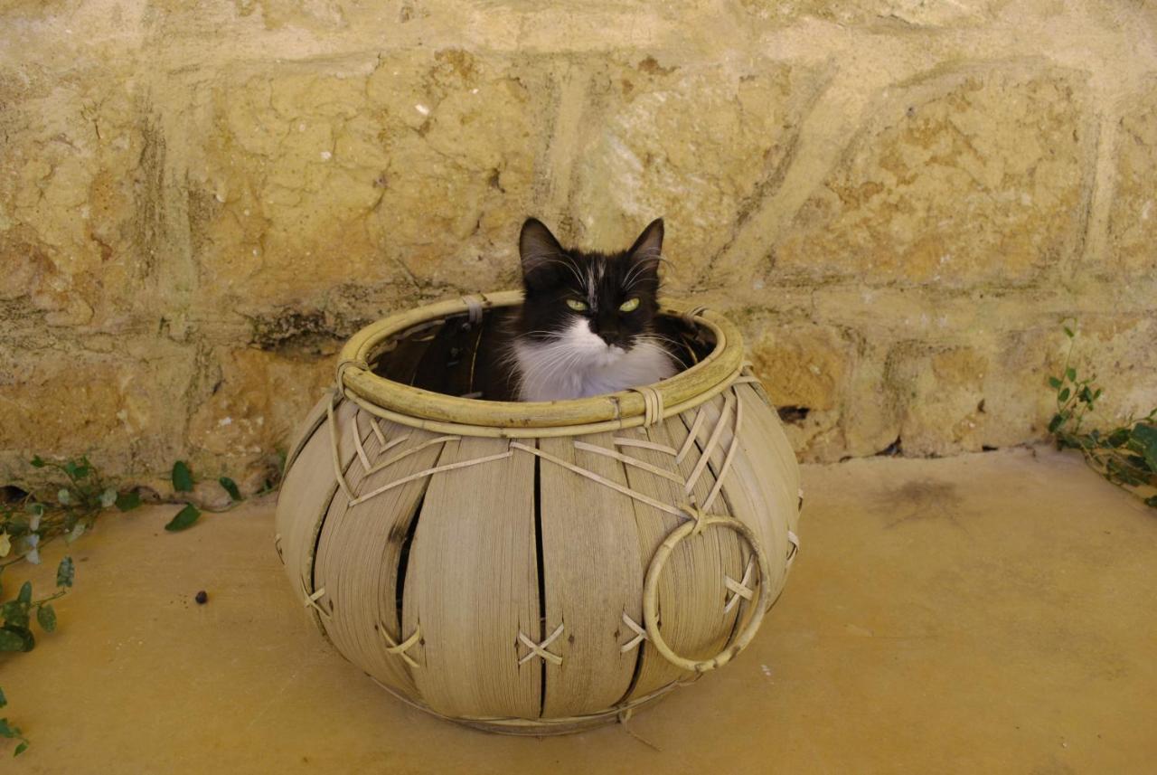 Masseria Galatea Agriturismo Alessano Buitenkant foto